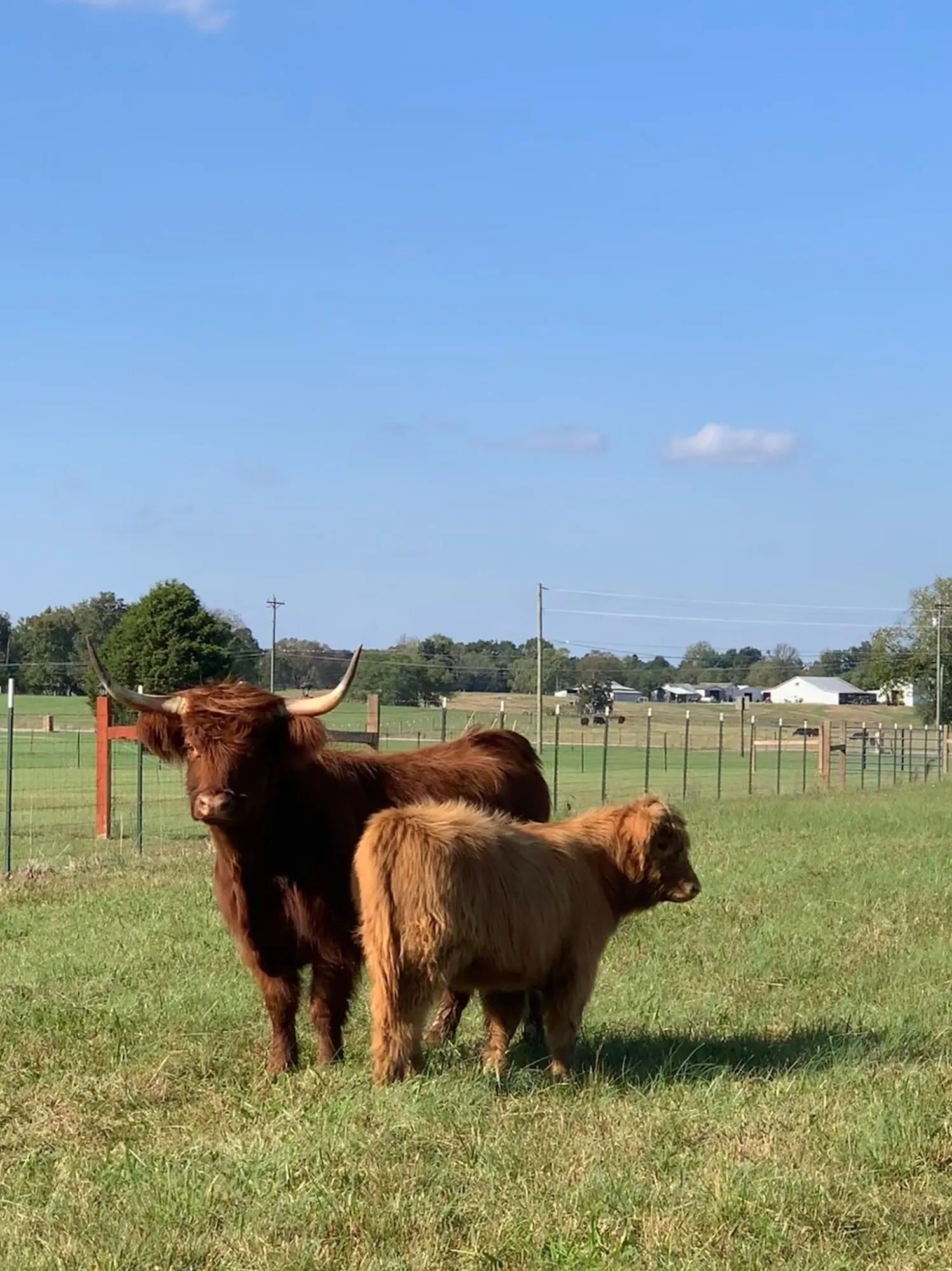 Brenda: With her mama, fall 2018