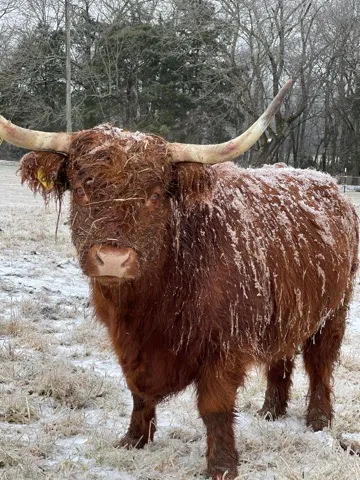 Brianna: Still the queen, in the snow
