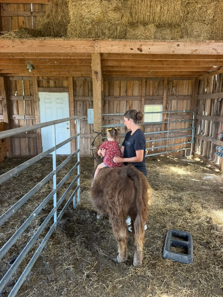 Flash: Riding Flash, Sept 2026