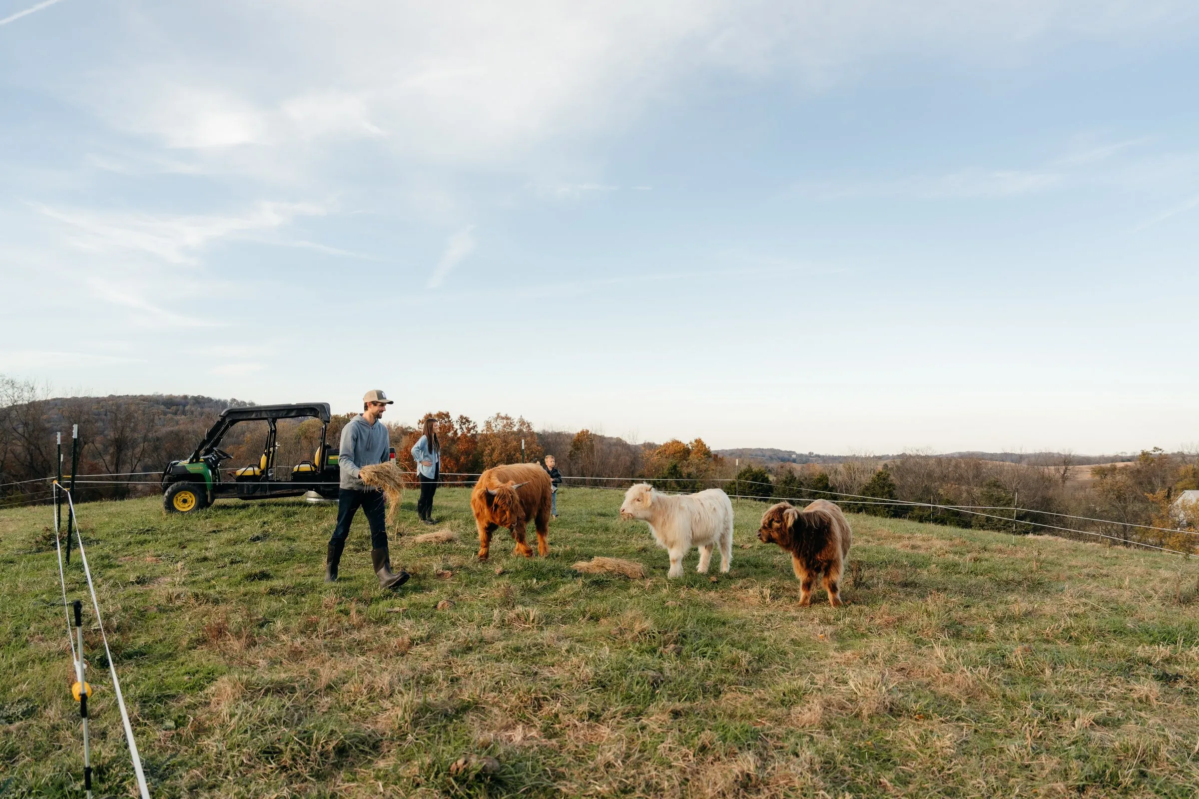 The farm utility vehicle parked among the grazing herd