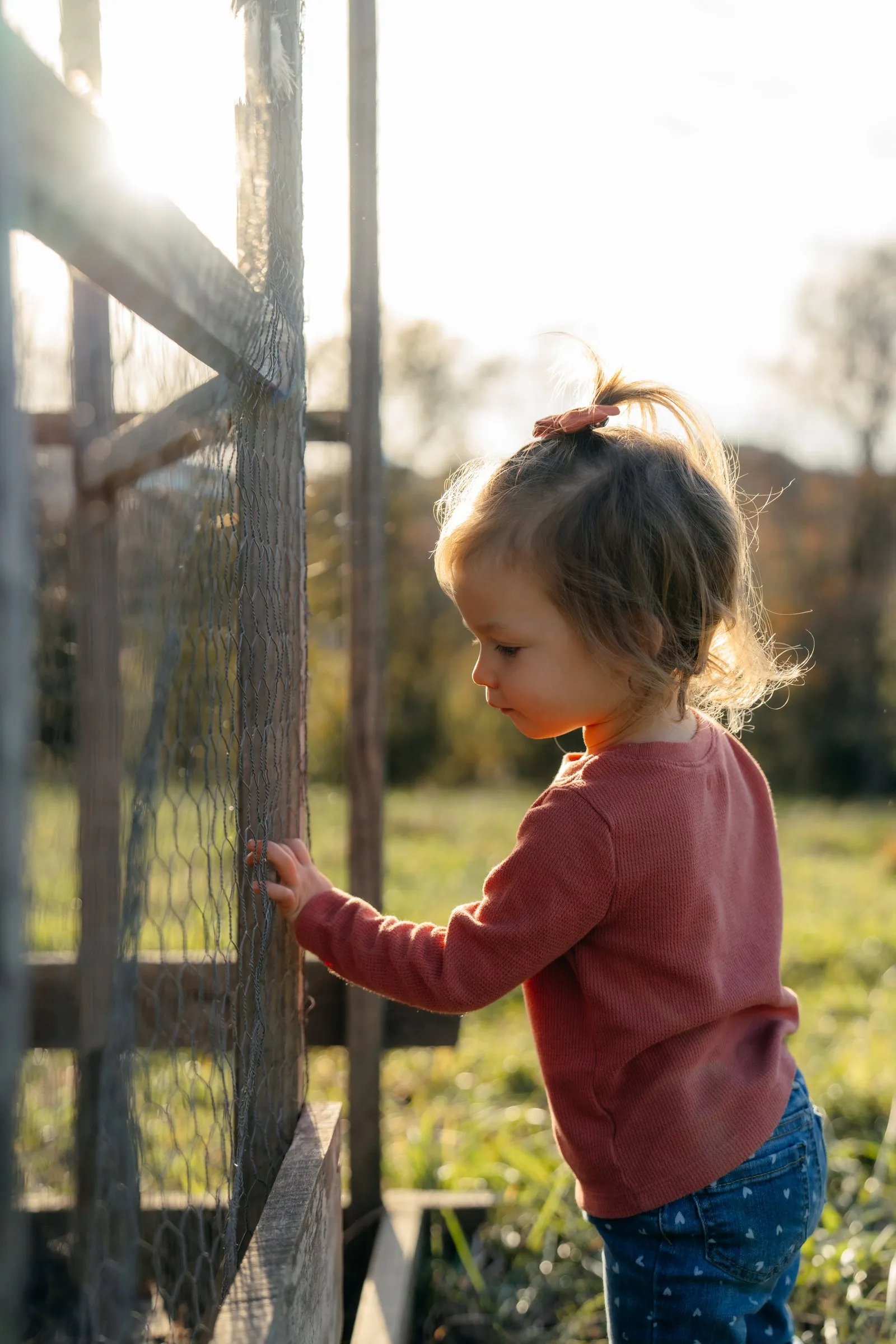 A little girl peeks through the chicken coop gate