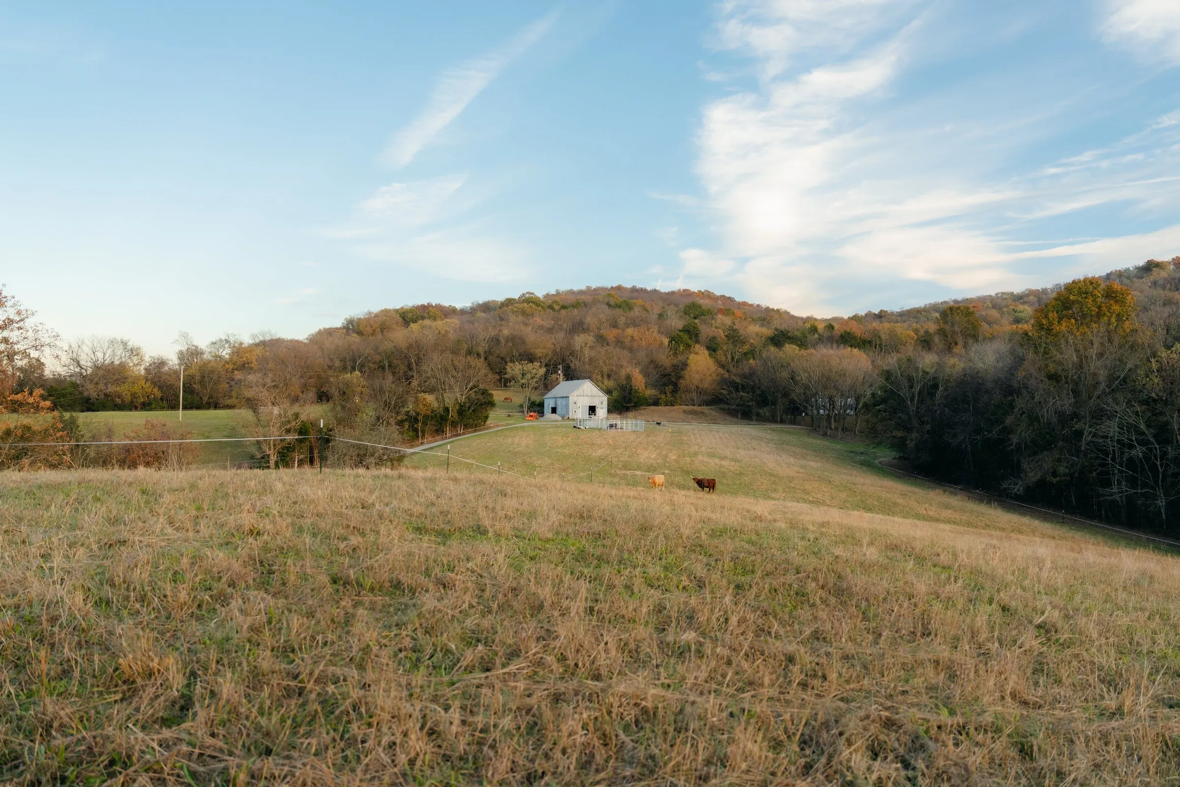 Rolling autumn pasture under a wide blue sky, a white barn in the distance