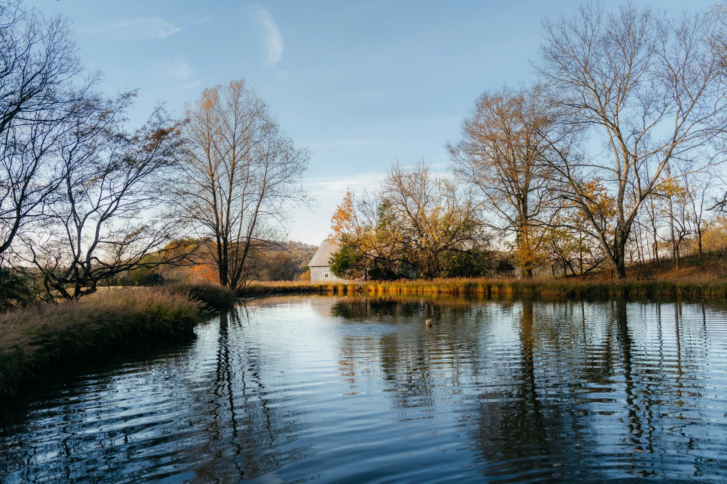 The farm pond on a clear autumn day