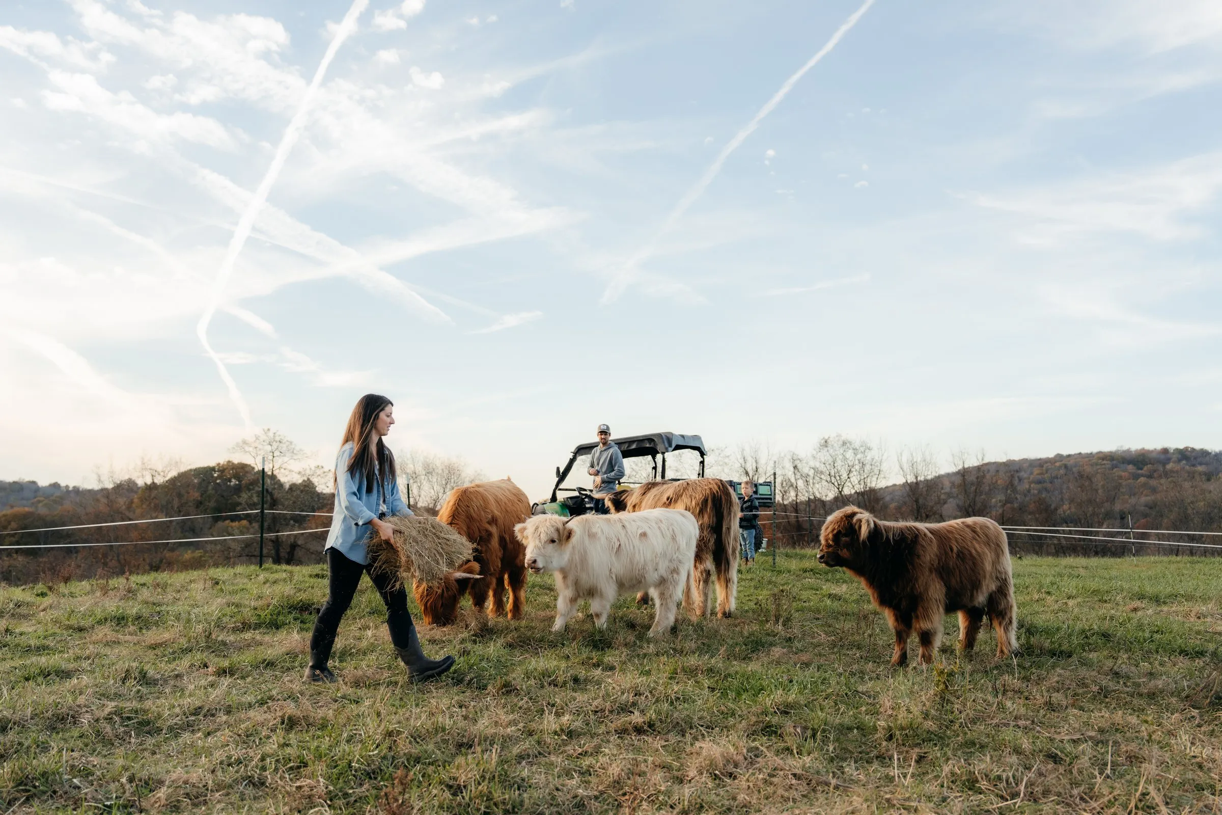 Sarah carries hay through the herd